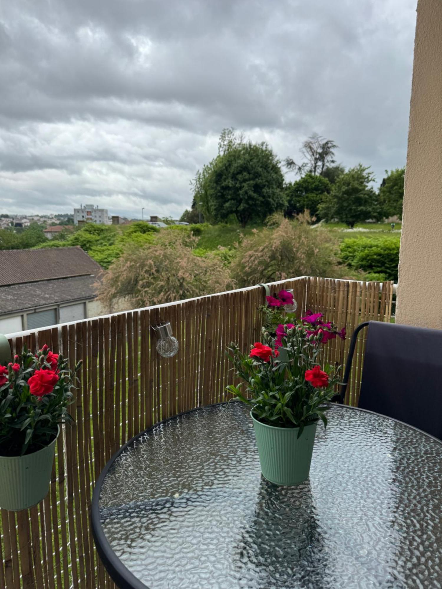 Appartement Chaleureux Et Spacieux T3 Limoges Exterior photo
